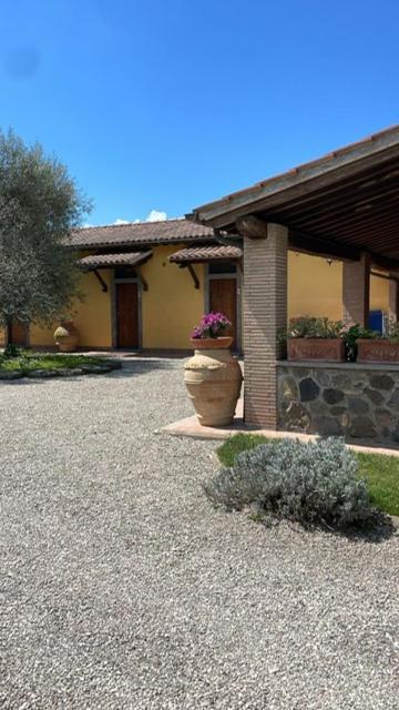 Agriturismo Arlena Bolsena Exterior photo